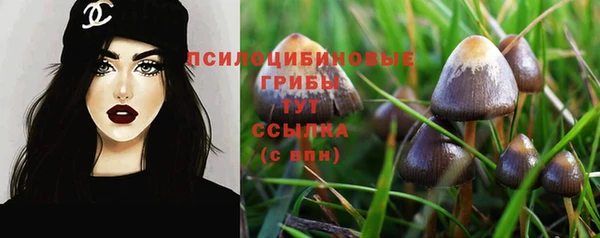 эйфоретик Алексин