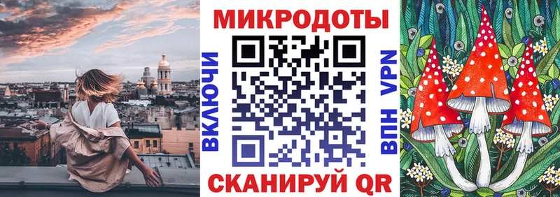 купить  сайты  Пикалёво  Галлюциногенные грибы прущие грибы 